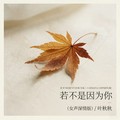 叶秋秋 - 若不是因为你 (女声深情版)