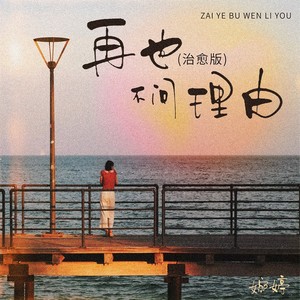 婉婷 - 再也不问理由 (治愈版)