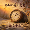 沧桑小杰 - 不知不觉正变老
