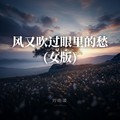 刘雨凌 - 风又吹过眼里的愁(女版)
