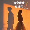 李乐乐 - 我会慢慢忘记你