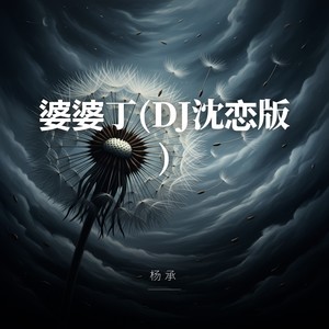 杨承 - 婆婆丁(DJ沈恋版)