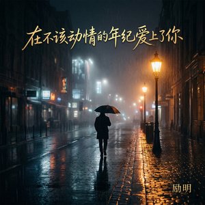 励明 - 在不该动情的年纪爱上了你