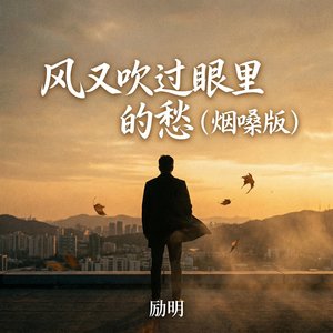 励明 - 风又吹过眼里的愁 (烟嗓版)