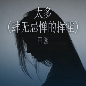 田园 - 太多 (肆无忌惮的挥霍)