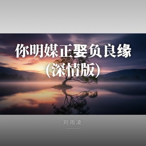 刘雨凌 - 你明媒正娶负良缘(深情版)