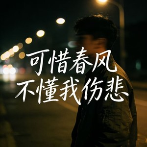 励明 - 可惜春风不懂我伤悲 (烟嗓版)