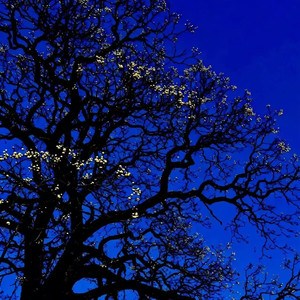 404Hz - Fading Light (渐暗的光)