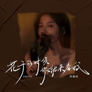 阿美呀 - 花开的时候你就来看我