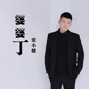 张小健 - 婆婆丁
