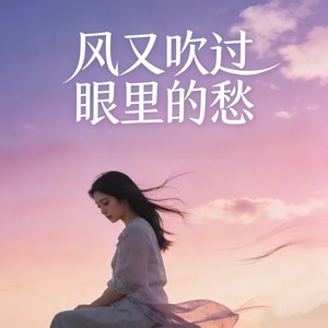 归来小易 - 风又吹过眼里的愁 (DJ阿尼版)