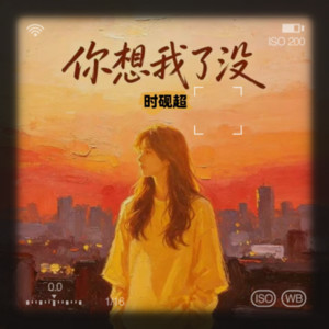 时砚超 - 你想我了没(你这个偷心的贼)男版