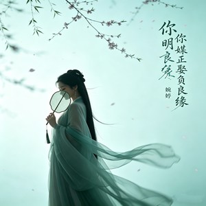婉婷 - 你明媒正娶负良缘 (女声版)