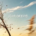 袁婷 - 风又吹过眼里的愁