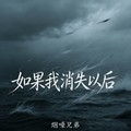 烟嗓兄弟 - 如果我消失以后 (新版)