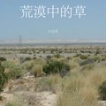 小法哥 - 荒漠中的草