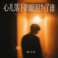 麻山伙 - 心儿落下眼泪为了谁