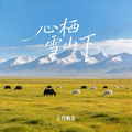 云丹梅朵 - 心栖雪山下