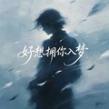 烟嗓小飞 - 好想拥你入梦 (男版)
