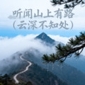 张云汐 - 听闻山上有路（云深不知处）