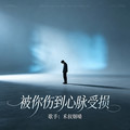 禾叔烟嗓 - 被你伤到心脉受损