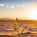 黄静美 - 荒漠中的草