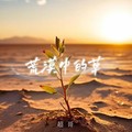 超哥 - 荒漠中的草 (烟嗓男版)