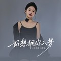 无名姐（路宝）&烟嗓小飞 - 好想拥你入梦 (男女对唱版)