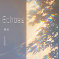 林冻 - Echoes (往日回响)