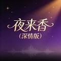 石川小町 - 夜来香 (深情版)