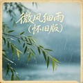 石川小町 - 微风细雨 (怀旧版)