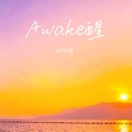 刘阿萌 - Awake醒