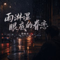 烟嗓哥 - 雨淋湿眼底的眷恋