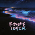 小鱼会唱歌 - Run Wild（向风而野）