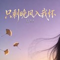 星T1 - 只剩晚风入我怀（闹钟女版）