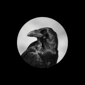 Ice Paper - 心如止水